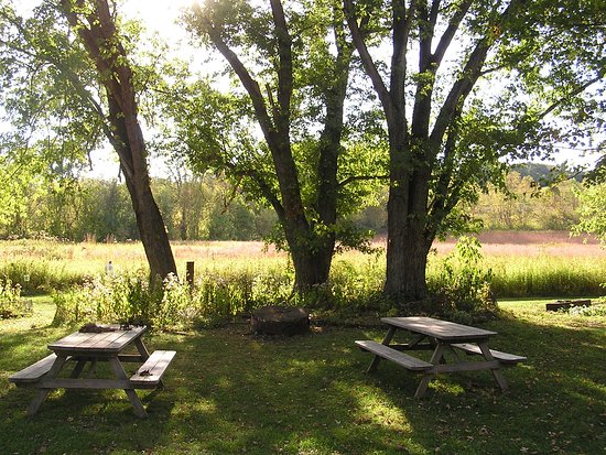 Picnic